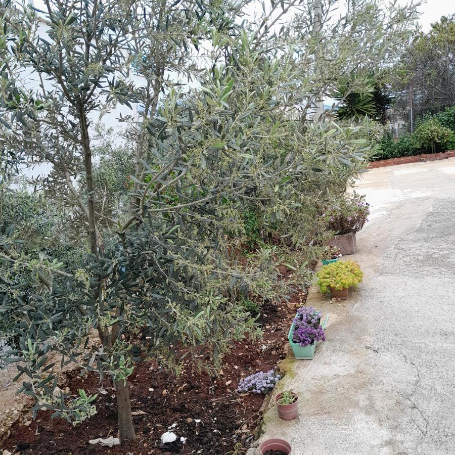 Denni'S Home Σαράντα Εξωτερικό φωτογραφία