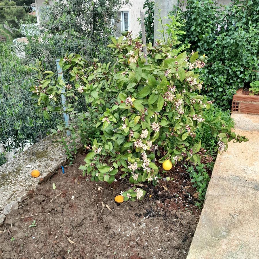 Denni'S Home Σαράντα Εξωτερικό φωτογραφία