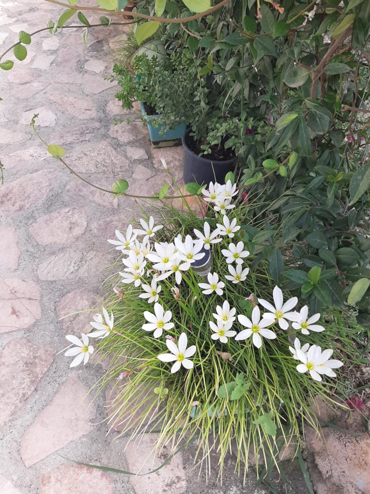 Denni'S Home Σαράντα Εξωτερικό φωτογραφία
