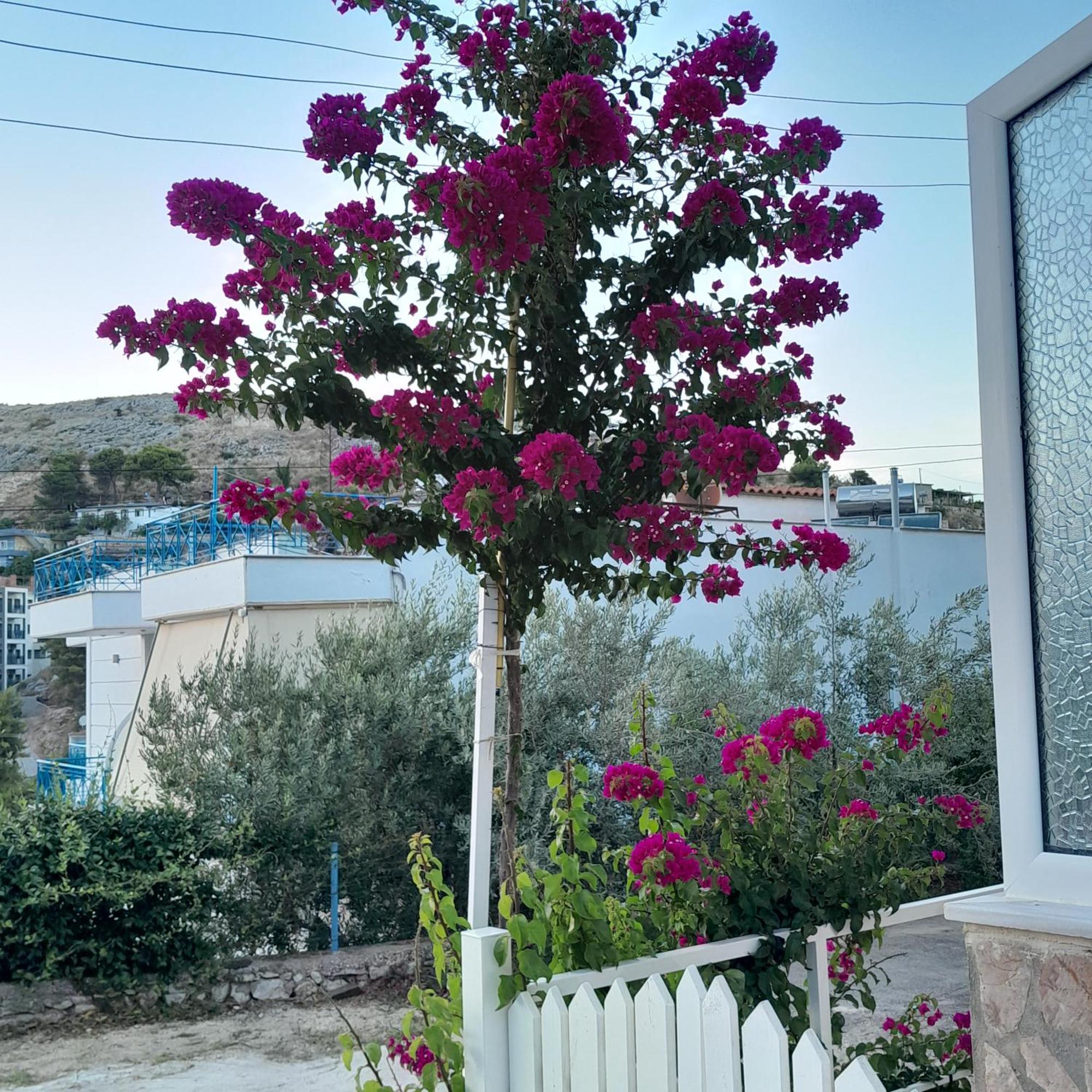 Denni'S Home Σαράντα Εξωτερικό φωτογραφία